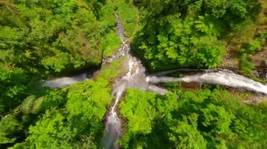 FPV insansız hava aracı, Endonezya 'nın Bali, Bali ormanlarında, çağlayan Fiji Şelaleleri yakınlarında dalıyor.