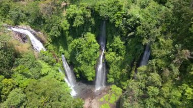 Endonezya, Bali 'deki bereketli ormanda sersemletici Fiji Şelalesi' nin hava manzarası