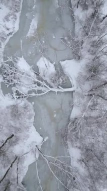 Soğuk bir kış ormanında donmuş nehrin havadan görünüşü