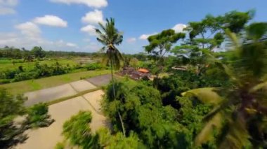 Ubud, Bali 'deki Bali Hindu Tapınağı ve Pirinç Tarlaları Üzerinde Sinema Uçuşu