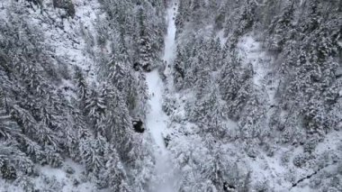 Kış ormanlarında karla kaplı patikada yürüyen insanların hava görüntüsü.