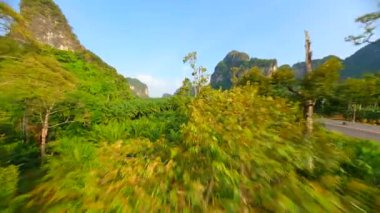 Tayland 'ın Krabi Eyaleti' ndeki palmiye plantasyonu üzerinde uçan sinematik FPV uçağı..