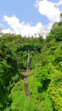Endonezya 'nın Bali kentindeki yemyeşil ormanda sersemletici Fiji Şelalesi' nin sinematik FPV görüntüleri