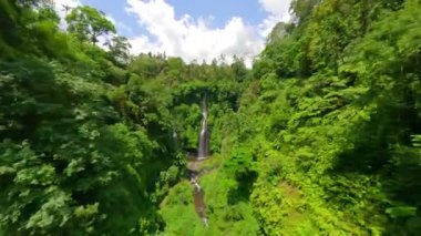 Endonezya 'nın Bali kentindeki yemyeşil ormanda sersemletici Fiji Şelalesi' nin sinematik FPV görüntüleri