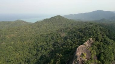 Tayland 'daki Koh Phangan Adası' ndaki yemyeşil orman kaplı tepelerin hava manzarası.