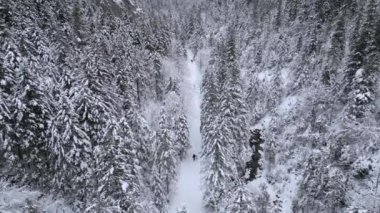 Kış dağ ormanlarında karla kaplı patikada yürüyen çift görüntüsü.