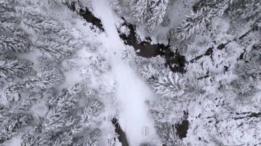 Kış ormanlarındaki karla kaplı patikanın havadan görünüşü