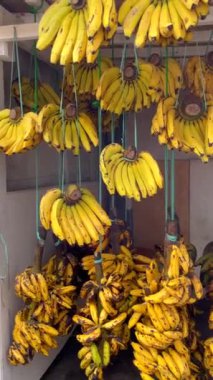 Cakarta, Endonezya 'daki sokak pazarında muz tezgahı