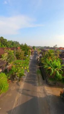 Ubud, Bali, Endonezya 'da düzenlenen Galungan tatili sırasında geleneksel köy üzerindeki sinematik FPV uçuşu.