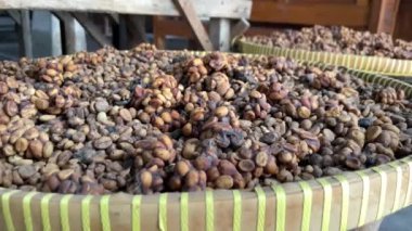 Endonezya, Bali 'de Kopi Luwak kahvesi yapımında kullanılan özel misk dışkıları.