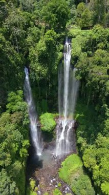 Endonezya, Bali 'deki bereketli yağmur ormanlarındaki görkemli Sekumpul Şelalesinin hava manzarası