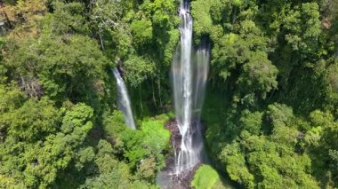 Endonezya, Bali 'deki bereketli yağmur ormanlarındaki görkemli Sekumpul Şelalesinin hava manzarası