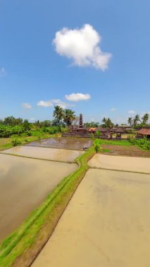 Ubud, Bali 'deki Bali Hindu Tapınağı ve Pirinç Tarlaları Üzerinde Sinema Uçuşu