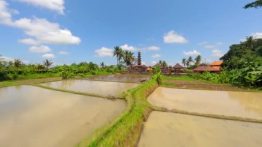 Ubud, Bali 'deki Bali Hindu Tapınağı ve Pirinç Tarlaları Üzerinde Sinema Uçuşu