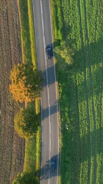 Güneşli bir günde sonbahar yolunda giden arabaların hava manzarası
