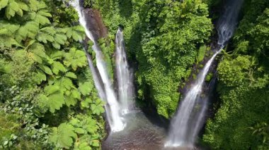 Bali Endonezya 'nın bereketli ormanlarında saklı Fiji şelalesinin havadan görünüşü