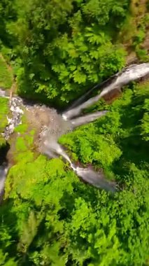 Dinamik FPV insansız hava aracı, Endonezya 'nın Bali kentinin verimli tropikal ormanlarında saklı Fiji Şelalesi' nin güçlü çağlayan sularının yakınında dalıyor.