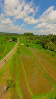 Endonezya, Bali 'deki Jatiluwih Rice Terasları üzerinde sinematik FPV insansız hava aracı uçuşu