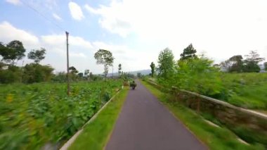 Merkezi Java, Endonezya 'daki Sumbing Dağı' nın yamaçlarındaki volkanik organik tarım arazilerinden motosikletle geçen bir çiftçinin sinematik FPV drone görüntüleri.