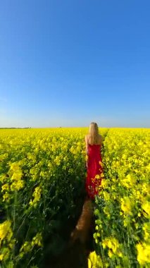 Kırmızı elbiseli bir kadının güneşli bir bahar gününde köpekle açtığı sarı kolza tohumu tarlasında yürüdüğü FPV drone görüntüsü. Manzaralı kırsal alan, çiçekler ve mavi gökyüzü.