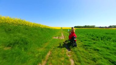 Kırmızı elbiseli, köpekli bir kadının güneşli bir bahar gününde açtığı kolza tohumu tarlalarında çekilmiş FPV drone fotoğrafı..