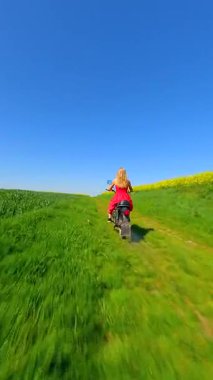 Kırmızı elbiseli, köpekli bir kadının güneşli bir bahar gününde açtığı kolza tohumu tarlalarında çekilmiş FPV drone fotoğrafı..