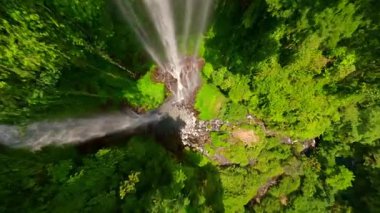 FPV insansız hava aracı Bali, Endonezya 'daki bereketli ormanda Sekumpul Şelalesi' nin çağlayan sularının yakınında dalıyor.