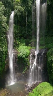 Görkemli Sekumpul Şelalesinin Bali, Endonezya 'daki yemyeşil ormanlarda dalgalanan görüntüsü..