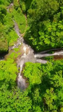 FPV insansız hava aracı Bali, Endonezya 'daki bereketli ormanda Sekumpul Şelalesi' nin çağlayan sularının yakınında dalıyor.
