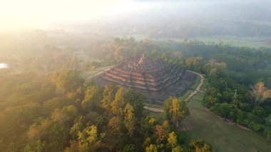 Orta Cava, Endonezya 'da tropikal sisli orman ve yumuşak sabah ışığı ile çevrili antik Borobudur tapınağının havadan görünüşü.