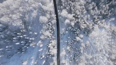 Karlı kış ormanlarında süzülen manzaralı yol manzarası