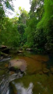 Tayland 'ın yemyeşil ormanlarında kayalarla sığ tropikal nehir üzerinde yumuşak FPV uçuşu