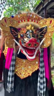 Bali, Endonezya 'da Galungan tatili sırasında geleneksel Bali Barong kostümü ve maskesi