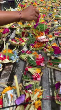 Bali, Endonezya 'daki tapınakta günlük Hindu ayininin bir parçası olarak çiçek, tütsü, yiyecek ve para dolu sepetler sunan geleneksel Balang Sari' nin yakın çekimi