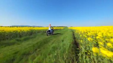 Güneşli bir günde sarı kolza tohumu tarlasında motosiklet süren bir kadının sinematik FPV görüntüsü. Özgürlük ve yaz temaları için enerjik kırsal yaşam tarzı manzarası.