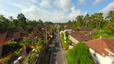 Endonezya 'nın Bali kentindeki bereketli tropik yeşilliklerle çevrili geleneksel Bali köyünde süslü caddelerde motosiklet sürerken çekilmiş FPV insansız hava aracı görüntüleri.. 