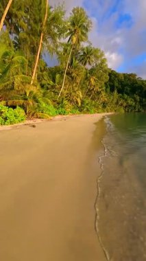 FPV insansız hava aracı, Tayland 'ın ücra adasında gün batımında altın kum, palmiye ağaçları ve okyanus dalgalarıyla tropik sahillerin üzerinde alçaktan uçuyor. Seyahat, özgürlük ve yaz doğa temaları için ideal.
