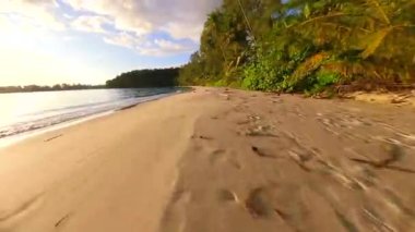 FPV insansız hava aracı, Tayland 'ın ücra adasında gün batımında altın kum, palmiye ağaçları ve okyanus dalgalarıyla tropik sahillerin üzerinde alçaktan uçuyor. Seyahat, özgürlük ve yaz doğa temaları için ideal.