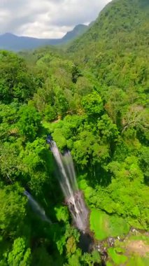 Endonezya 'nın Bali kentindeki yemyeşil ormanlarla çevrili Sekumpul Şelalesi' nin çağlayan suları yakınlarında FPV insansız hava aracı dalışı. Doğa, seyahat ve tropikal macera temaları için ideal.