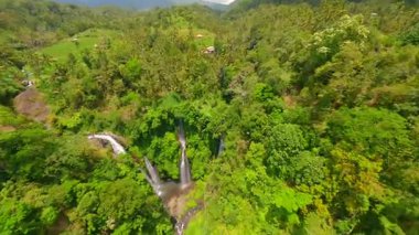Endonezya 'nın Bali kentindeki yemyeşil ormanlarla çevrili Sekumpul Şelalesi' nin çağlayan suları yakınlarında FPV insansız hava aracı dalışı. Doğa, seyahat ve tropikal macera temaları için ideal.