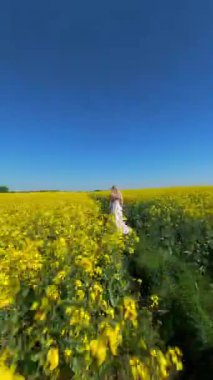 Güneşli yaz gününde sarı kolza tohumu tarlasında yürüyen bir kadının sinematik FPV görüntüsü. Doğa, özgürlük ve yavaş yaşam temaları için huzurlu kırsal yaşam tarzı sahneleri.