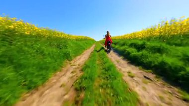 Güneşli bir günde sarı kolza tohumu tarlasında motosiklet süren bir kadının sinematik FPV görüntüsü. Özgürlük ve yaz temaları için enerjik kırsal yaşam tarzı manzarası.