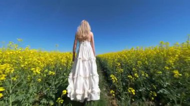 Güneşli yaz gününde sarı kolza tohumu tarlasında yürüyen bir kadının sinematik FPV görüntüsü. Doğa, özgürlük ve yavaş yaşam temaları için huzurlu kırsal yaşam tarzı sahneleri.