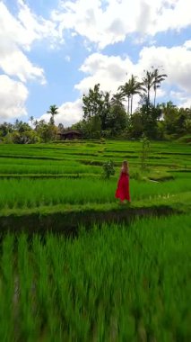 Endonezya, Bali 'de tropikal manzaralar ve palmiye ağaçlarıyla çevrili yeşil pirinç teraslarında yürüyen kırmızı elbiseli bir kadının sinematik FPV robot resmi. Seyahat ve doğa temaları için ideal.
