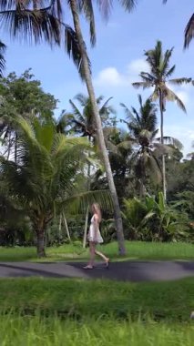 Endonezya, Bali 'de tropikal palmiye çizgili yolda yürüyen beyaz elbiseli bir kadın. Bereketli yeşillik, palmiye ağaçları ve sakin atmosferi olan huzurlu bir ada..