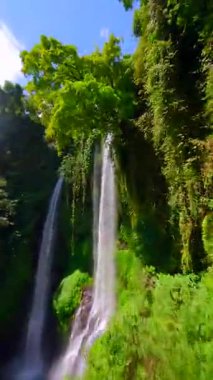 Sinema FPV insansız hava aracı, gür orman dallarında uçarken ve Endonezya Bali 'deki Sekumpul Şelalesi' nin kıyısına dalarken, çarpıcı tropikal manzara ve büyüleyici hareketlerle görüntülendi..