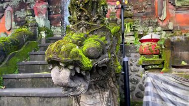 Endonezya 'daki geleneksel Bali tapınağındaki yosun kaplı ejderha heykelinin yakın çekimi. Mitolojiyi, maneviyatı ve doğayı tropikal ve kutsal bir ortamda harmanlayan antik taş heykel..