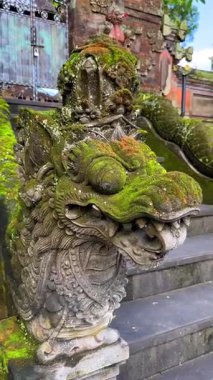Endonezya 'daki geleneksel Bali tapınağındaki yosun kaplı ejderha heykelinin yakın çekimi. Mitolojiyi, maneviyatı ve doğayı tropikal ve kutsal bir ortamda harmanlayan antik taş heykel..