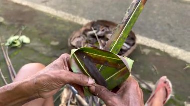 Geleneksel Balili hediye sepetini palmiye yapraklarından ören ellerin yakın çekimi. Bali 'de günlük ruhani ayin ve kültürel zanaat.