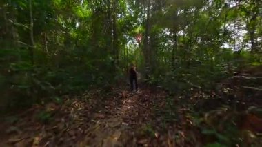 Aktif giyimli kadın koşucunun tropik bitki örtüsüyle çevrili yapraklı orman yolunda koşarken çekilmiş sinematik FPV görüntüsü. Doğa ve macera temaları için ideal.